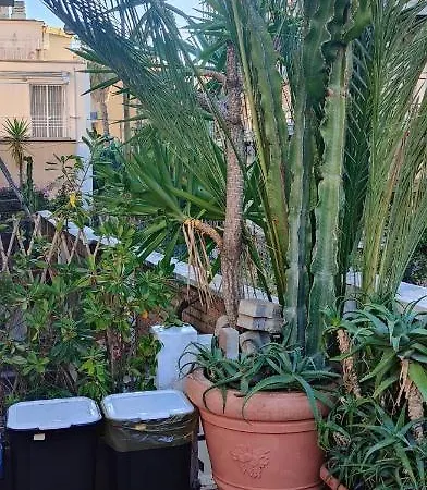 Ca'del Pescatore Ferienhaus Sanremo